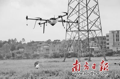 泰国大米富硒吗