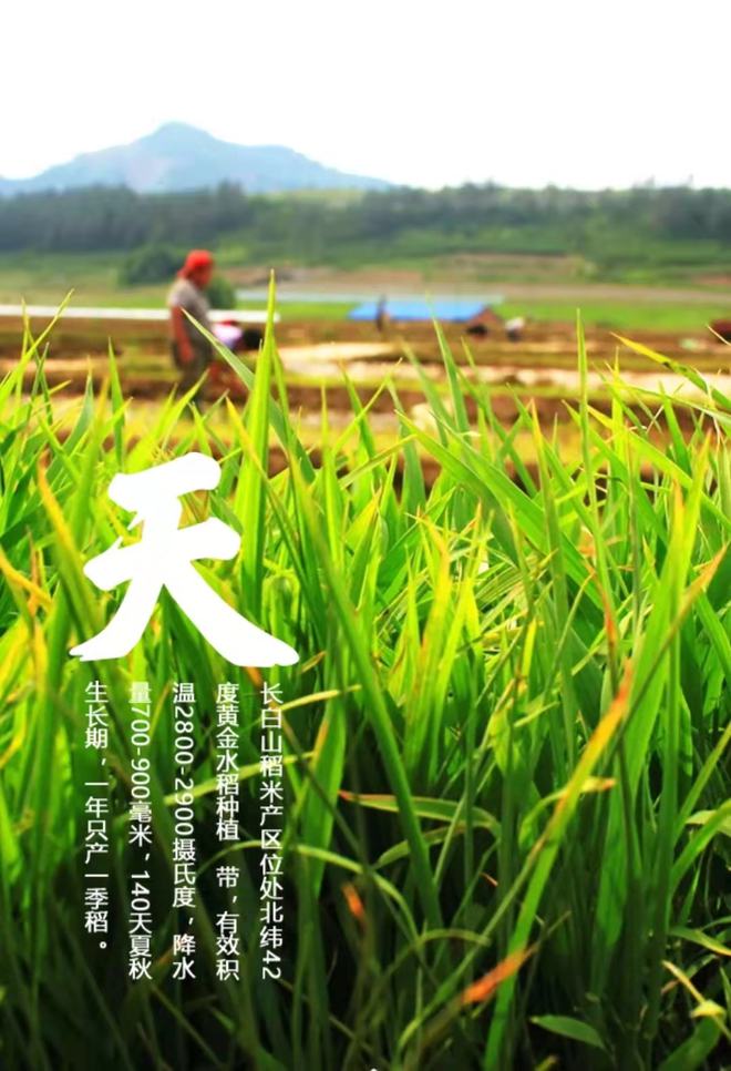 长白山富硒大米