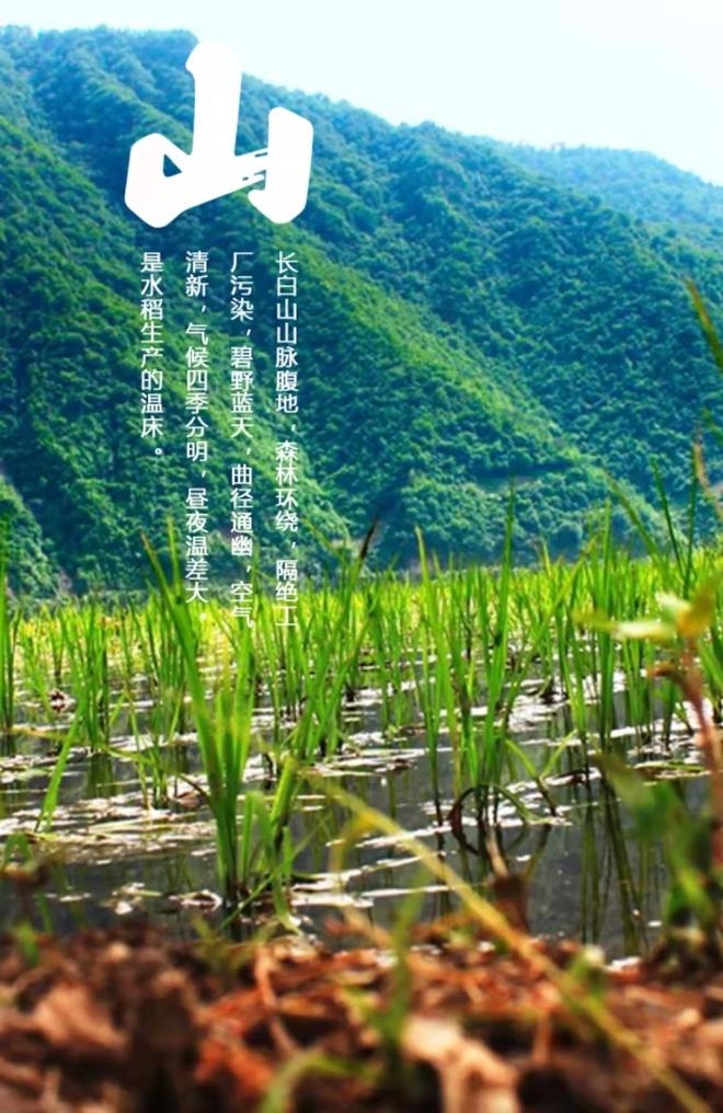 长白山富硒大米