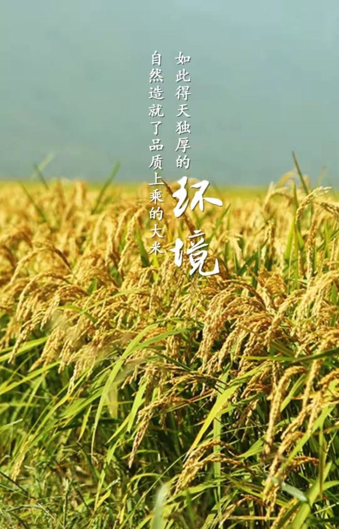长白山富硒大米