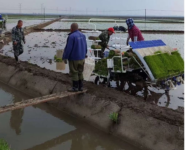 二沟湾富硒大米(富硒大米基地)-硒宝网