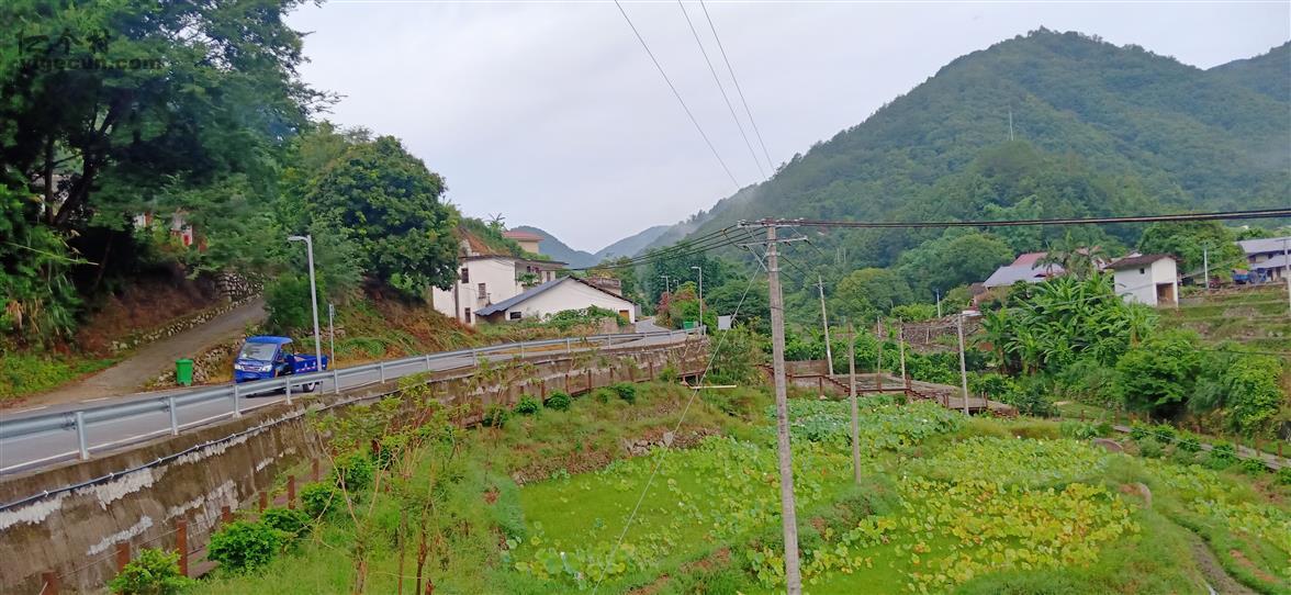 双阳区富硒大米(富硒大米2.5kg价格)-硒宝网