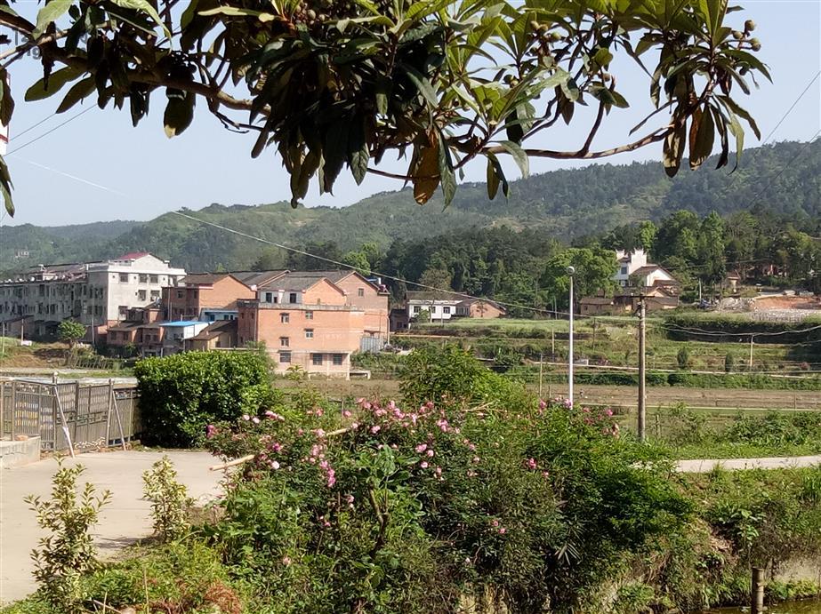 双阳区富硒大米(富硒大米2.5kg价格)-硒宝网