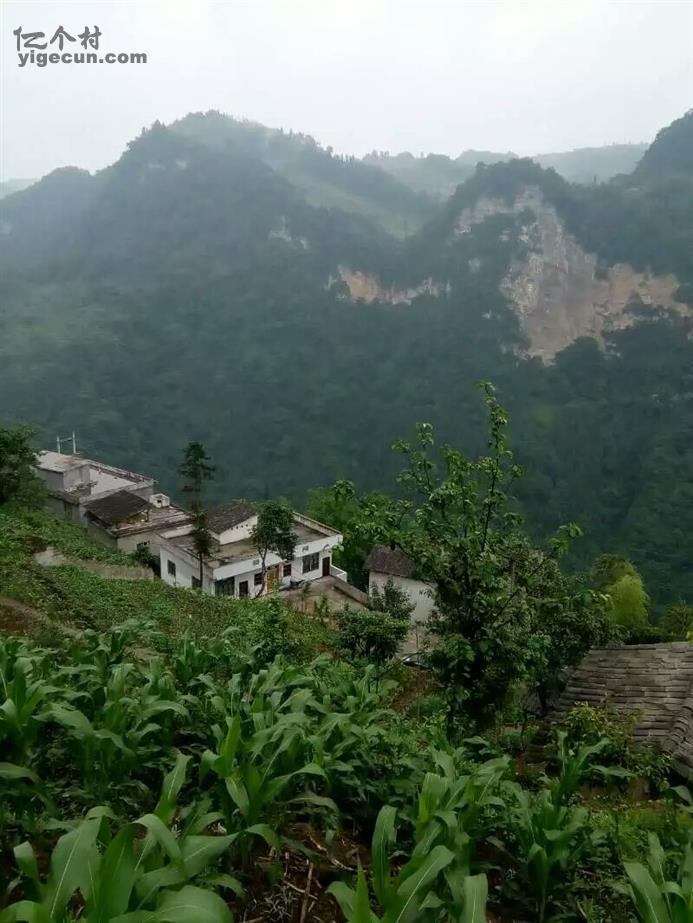 双阳区富硒大米(富硒大米2.5kg价格)-硒宝网