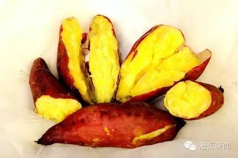 薯我富富硒地瓜