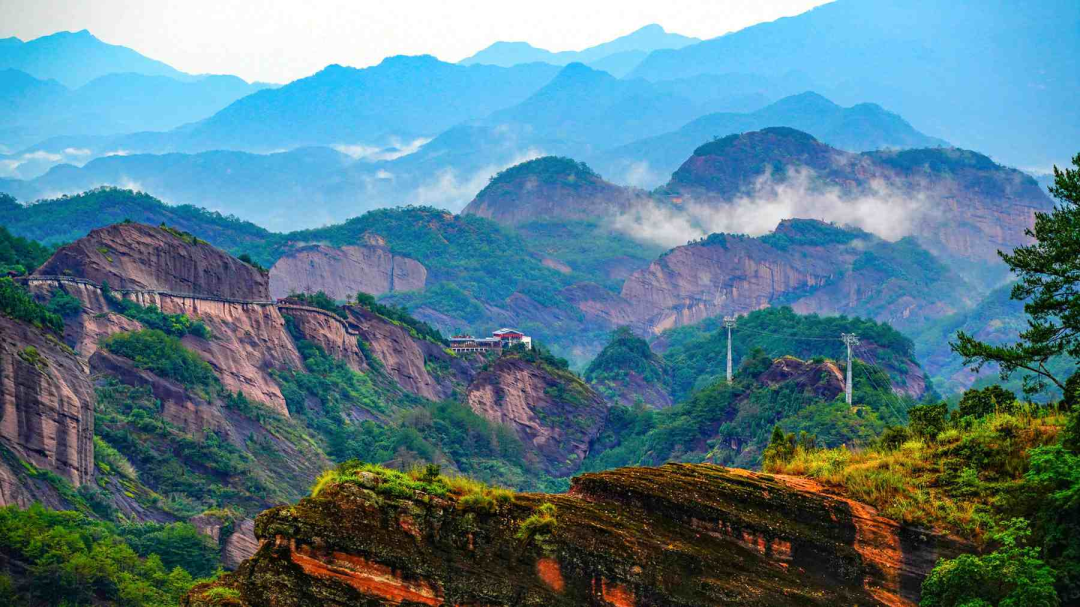 连城富硒鲜地瓜