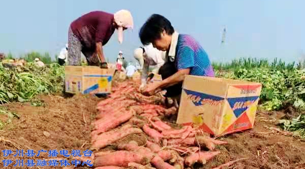出彩 (1).jpg