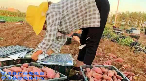 出彩 (2).jpg