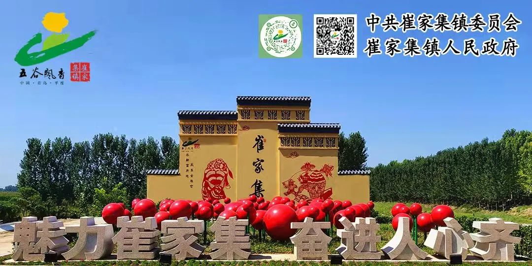 富硒烤地瓜历史