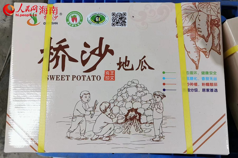 桥沙地瓜。 人民网 孟凡盛摄