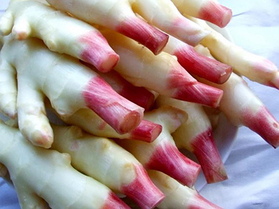 野水芹菜饺子的做法