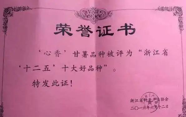 富硒地瓜蛋直播