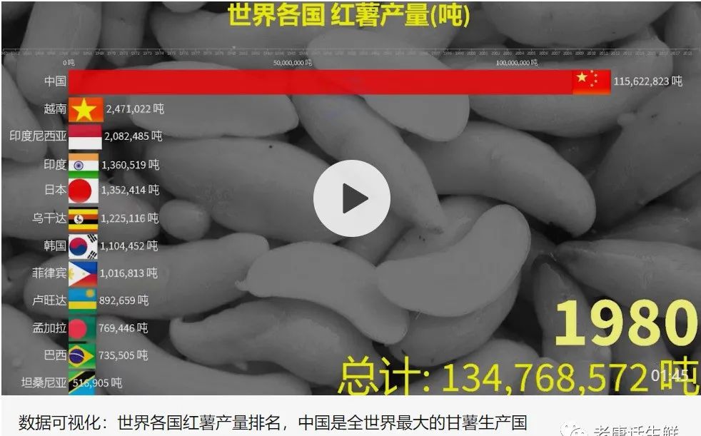 富硒地瓜蒸多久