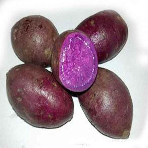 富硒地瓜水分大(地瓜富硒标准)-硒宝网