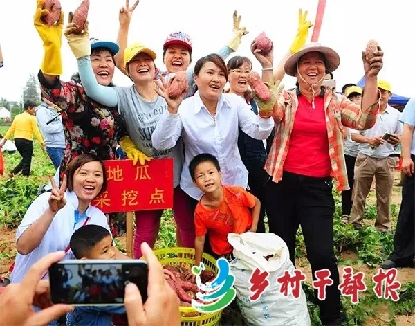 富硒地瓜干代理