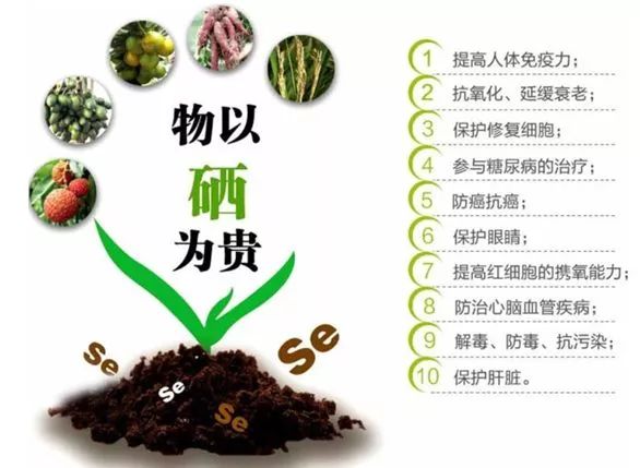 富硒地瓜蒸多久