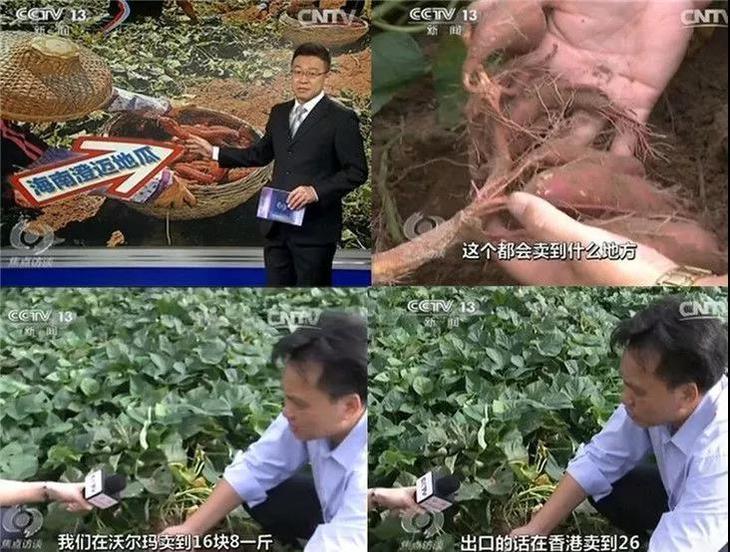 富硒地瓜好卖吗