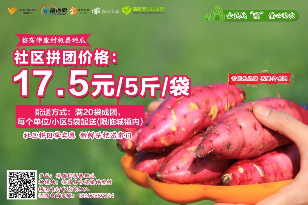 富硒地瓜批发价