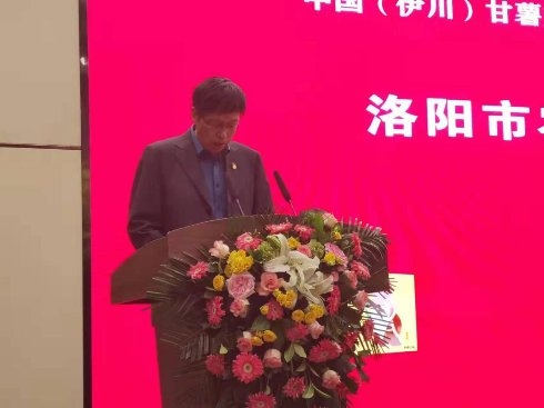 桥沙富硒地瓜苗