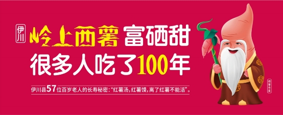 桥沙富硒地瓜苗