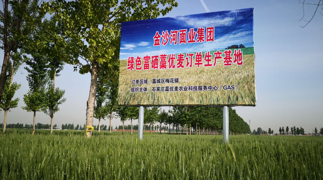 寿之本富硒面粉
