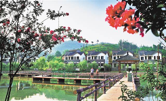 南江乡富硒蔬菜