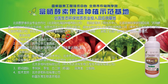富硒蔬菜专用肥