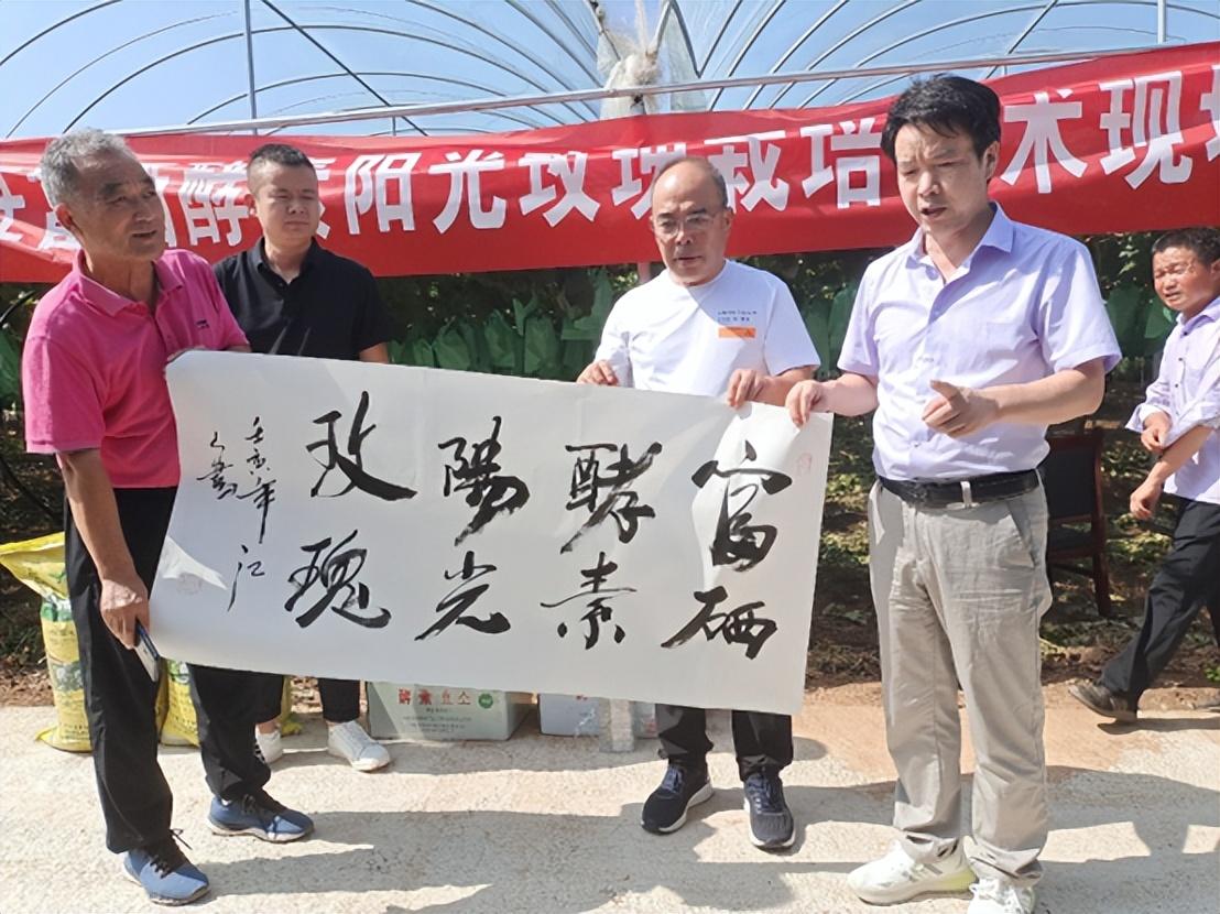 富硒蔬菜专用肥