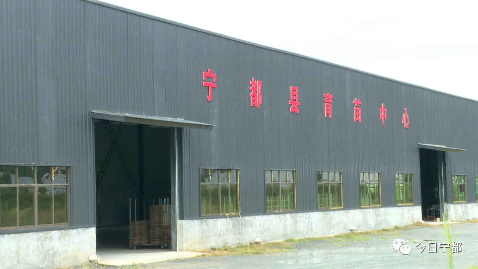 宁都县富硒蔬菜