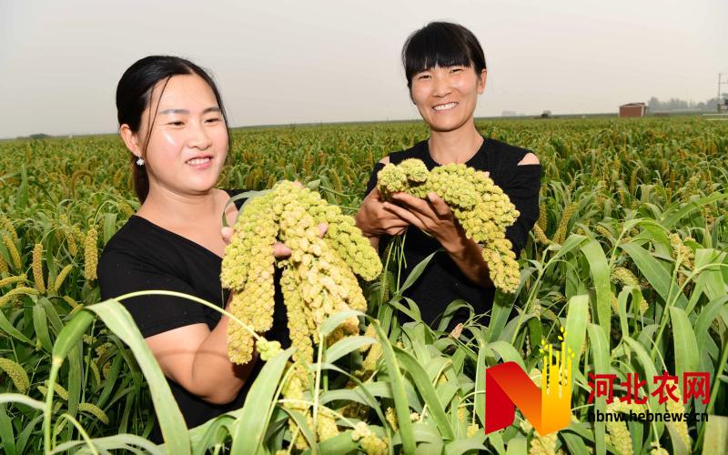 富硒蔬菜旗舰店(富硒农产品专卖店)-硒宝网