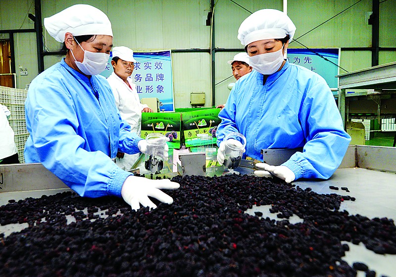 富硒蔬菜旗舰店(富硒农产品专卖店)-硒宝网