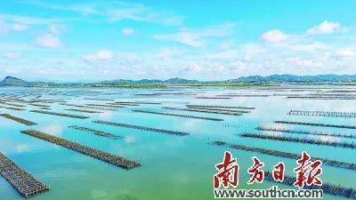 富硒蔬菜靠谱吗(富硒蔬菜有什么好处)-硒宝网