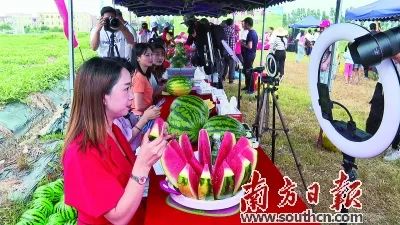 富硒蔬菜靠谱吗(富硒蔬菜有什么好处)-硒宝网