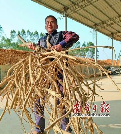 富硒蔬菜靠谱吗(富硒蔬菜有什么好处)-硒宝网