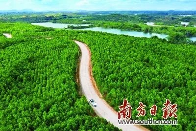 富硒蔬菜靠谱吗(富硒蔬菜有什么好处)-硒宝网