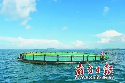 富硒蔬菜靠谱吗(富硒蔬菜有什么好处)-硒宝网