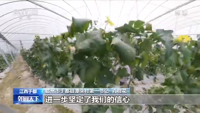 张家口富硒蔬菜