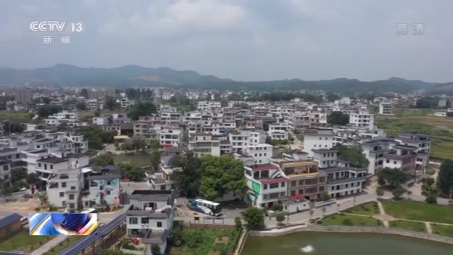 张家口富硒蔬菜