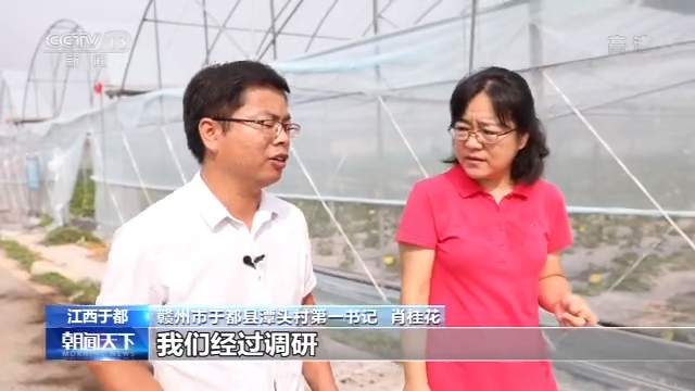 张家口富硒蔬菜