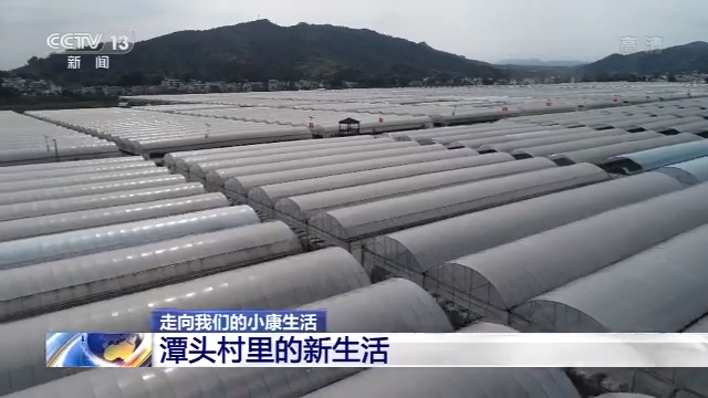 张家口富硒蔬菜