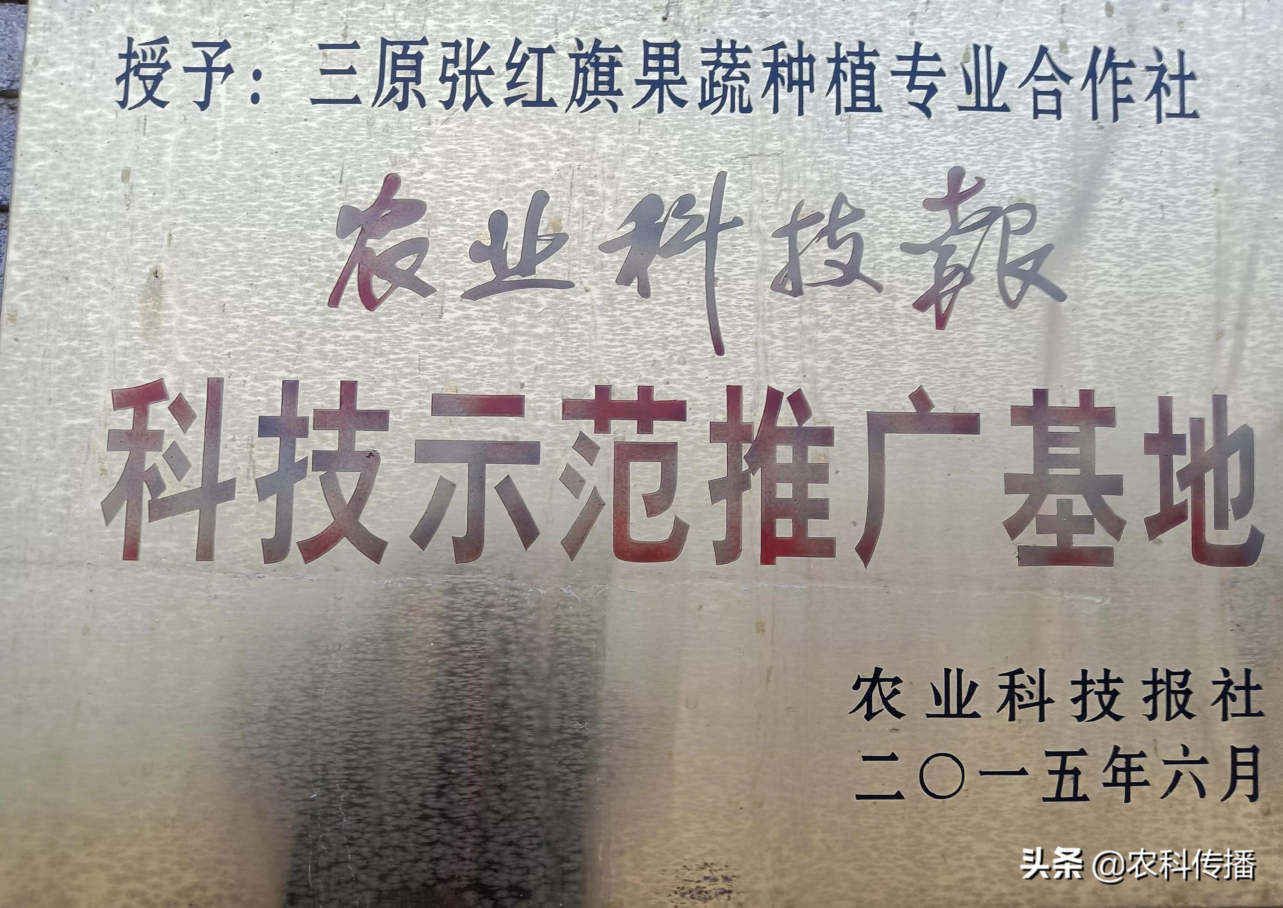 富硒水果的意思
