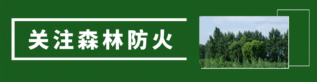 十大富硒的水果