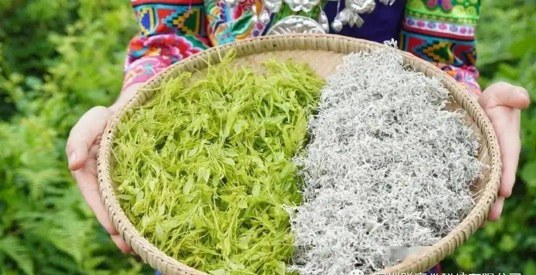 藤匠人富硒莓茶
