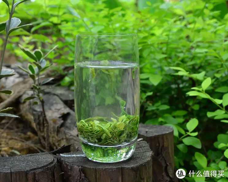 中国顶级春茶排行榜？你家乡的茶上榜了吗？看看你都喝过哪些？