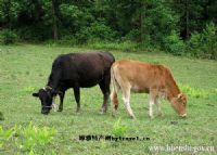 恩施最富硒产品