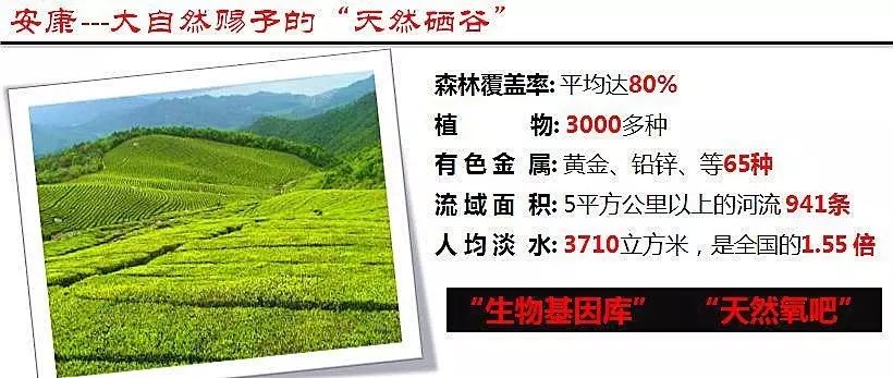 硒谷有什么产品