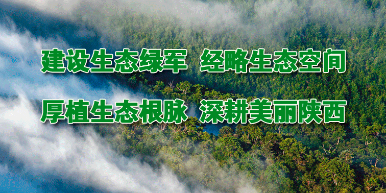 含硒农加工产品