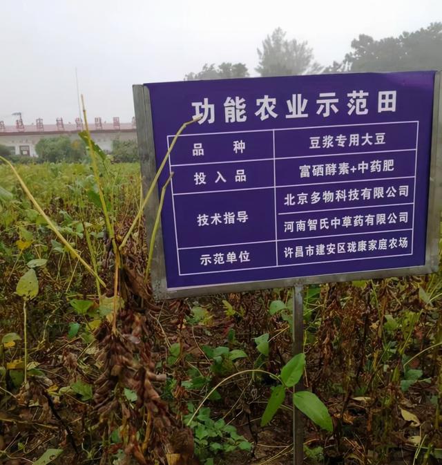 上海富硒农产品
