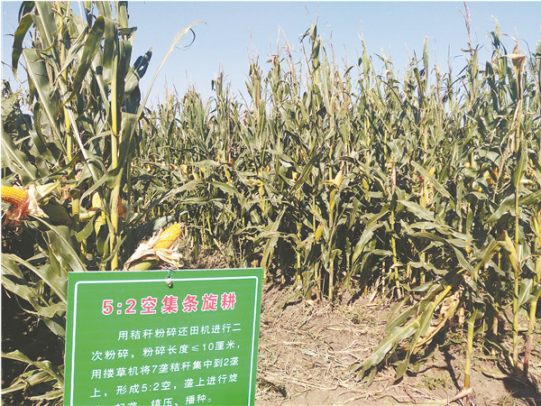 肇东硒望农产品