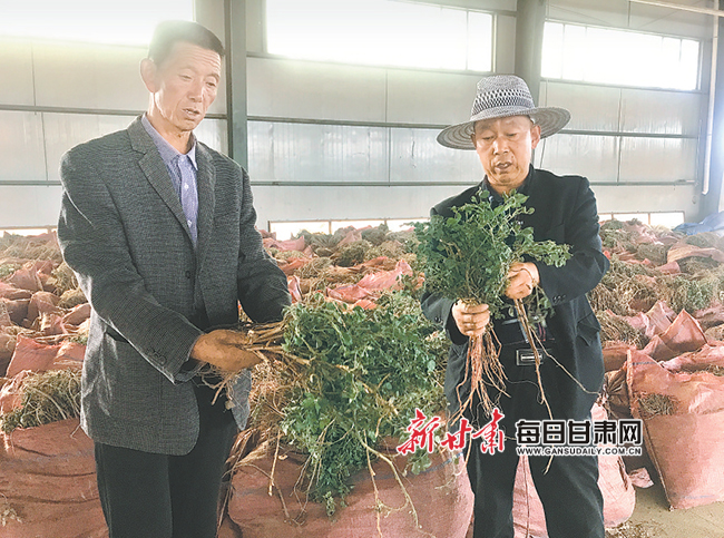 塬头贡的硒产品